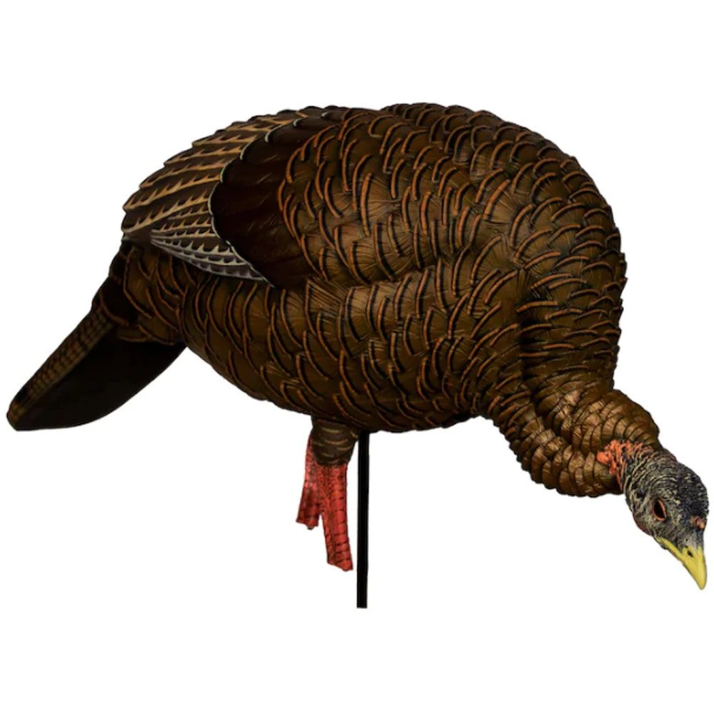 Avian-X HDR Feeding Hen Turkey Decoy 4 Avian-X HDR Feeding Hen Turkey Decoy - Image 2