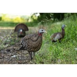 Avian-X LCD Breeder Hen Turkey Decoy -Hunting Clothing Store avian x lcd half strut jake turkey decoy 3