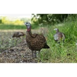 Avian-X LCD Lookout Hen Turkey Decoy -Hunting Clothing Store avian x lcd lookout hen turkey decoy 3
