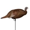 Flextone Thunder Chick Breeder Hen Turkey Decoy -Hunting Clothing Store flextone thunder chick breeder hen turkey decoy 1