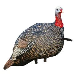 Avian-X LCD Quarter Strut Jake Turkey Decoy